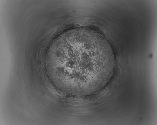X0000112921009200909080929