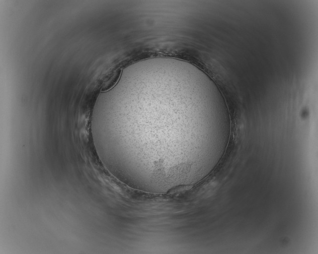 X0000112921010200909080929