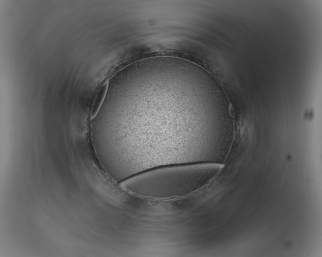 X0000112921012200909080929