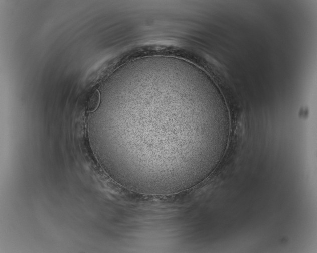 X0000112921014200909080929