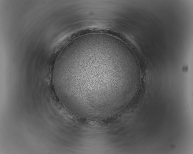 X0000112921015200909080929