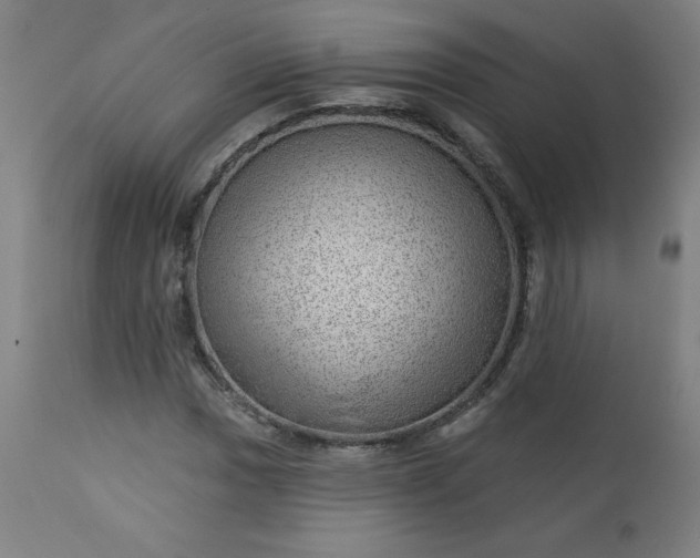 X0000112921017200909080929