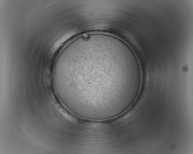 X0000112921018200909080929