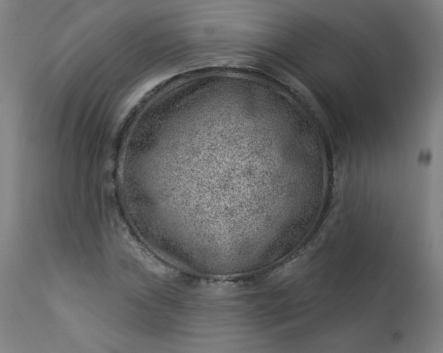 X0000112921019200909080929