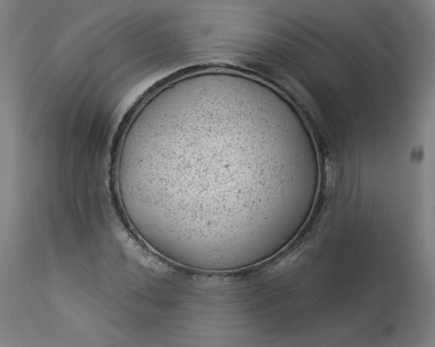 X0000112921020200909080929