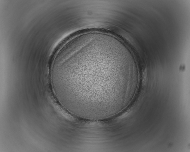 X0000112921021200909080929