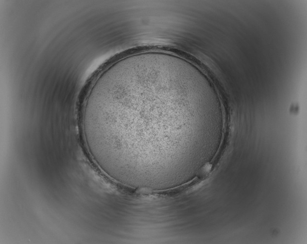 X0000112921022200909080929