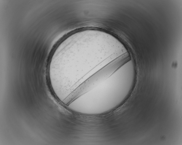 X0000112921024200909080929