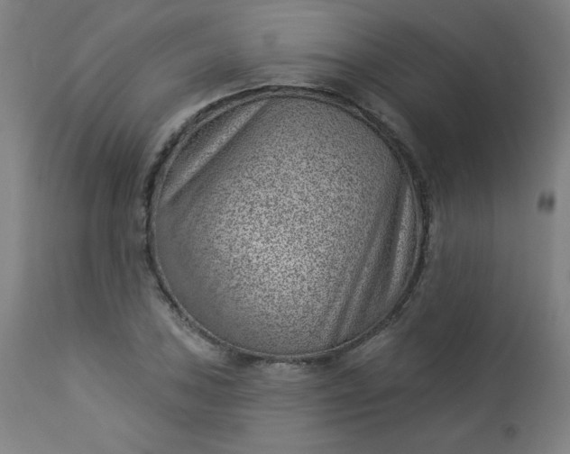 X0000112921027200909080929
