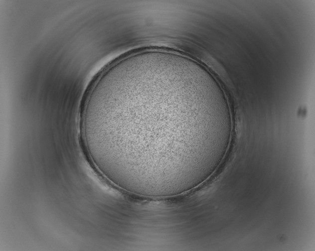 X0000112921028200909080929