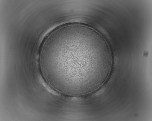 X0000112921029200909080929