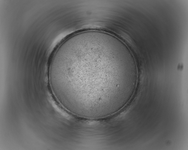 X0000112921030200909080929