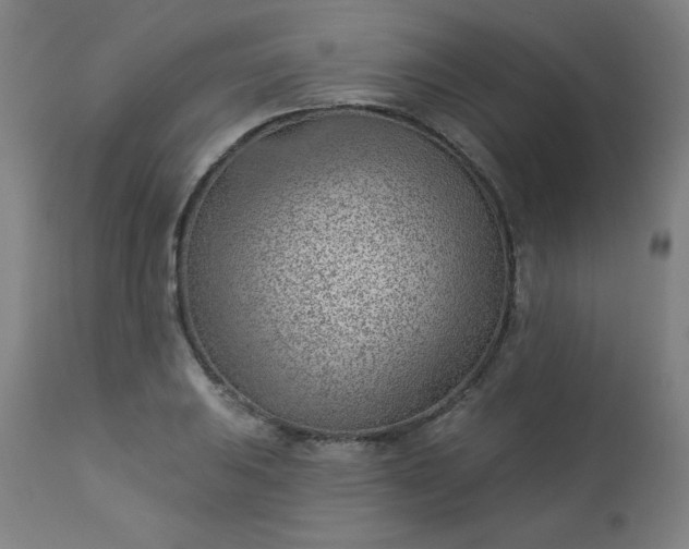 X0000112921031200909080929