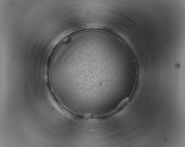 X0000112921034200909080929