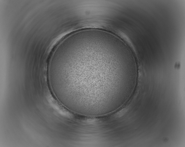 X0000112921035200909080929