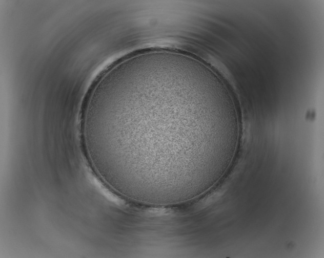 X0000112921037200909080929