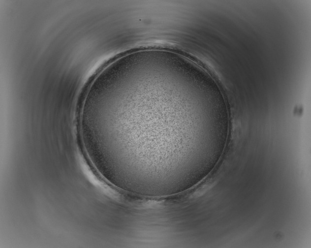 X0000112921038200909080929