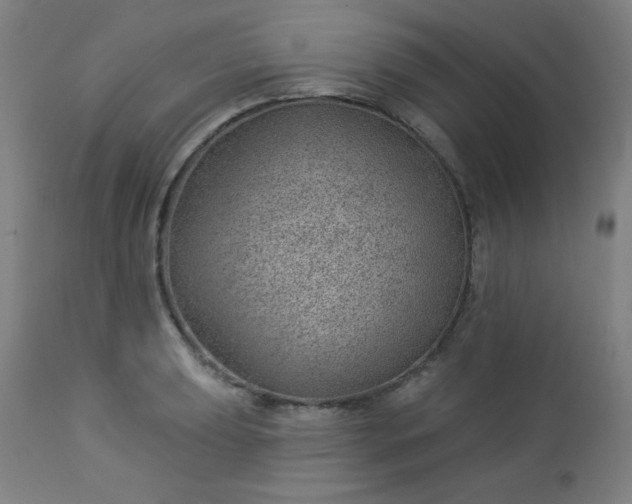 X0000112921039200909080929