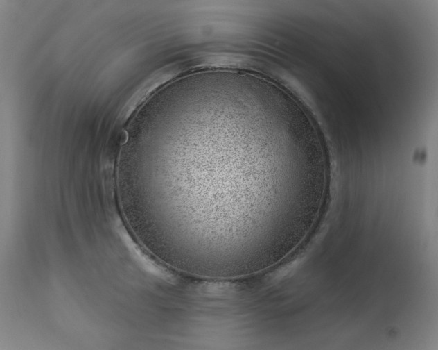 X0000112921041200909080929