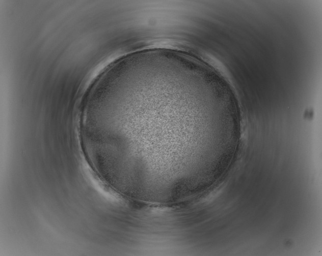 X0000112921043200909080929