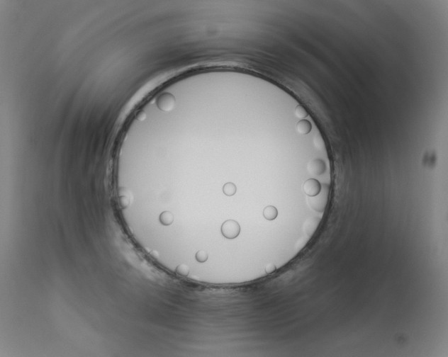 X0000112921044200909080929