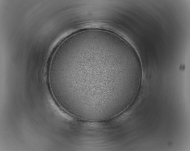 X0000112921045200909080929