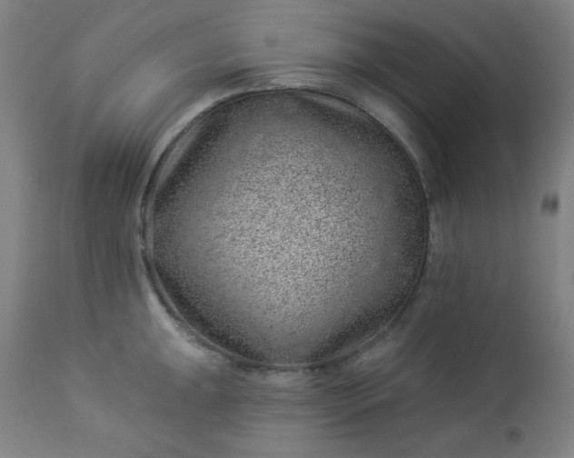 X0000112921047200909080929
