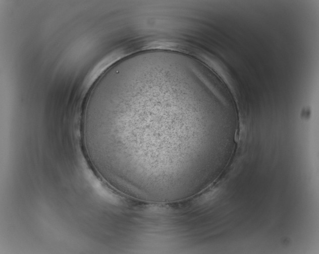 X0000112921050200909080929