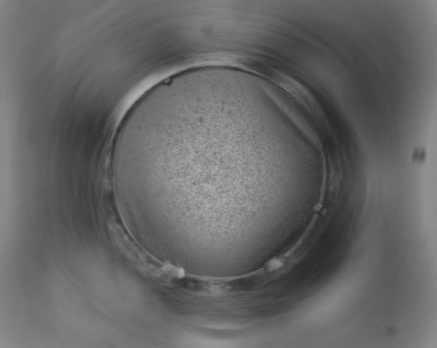 X0000112921052200909080929