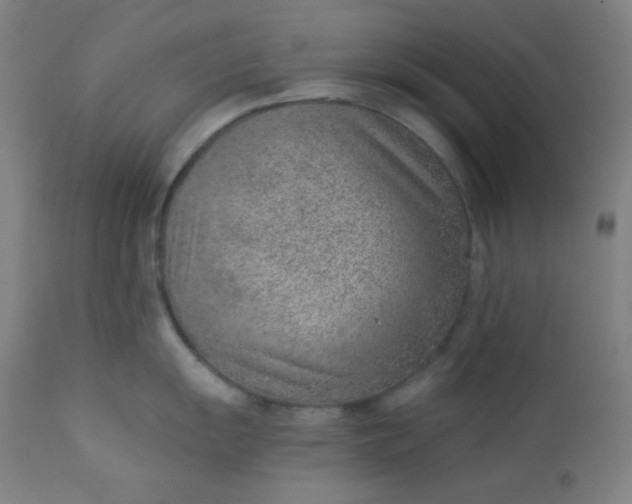X0000112921055200909080929