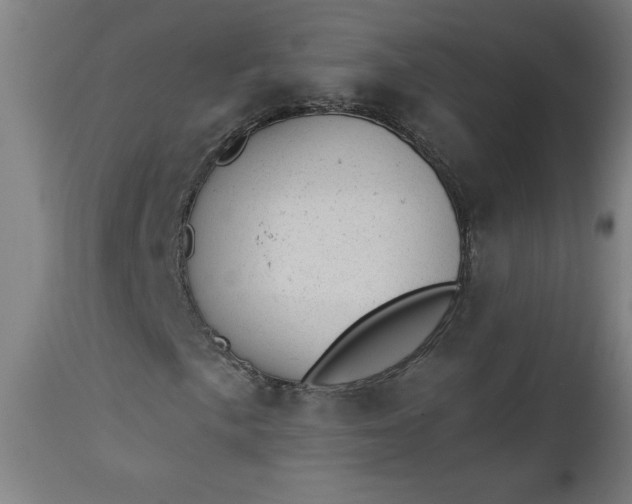 X0000112921057200909080929