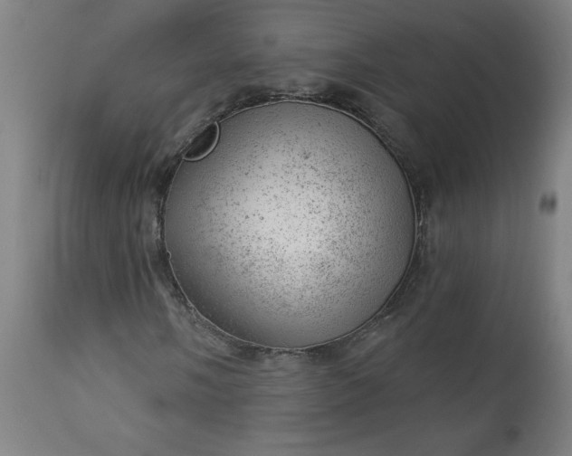 X0000112921058200909080929