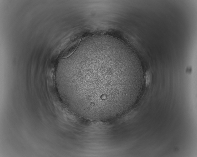 X0000112921059200909080929