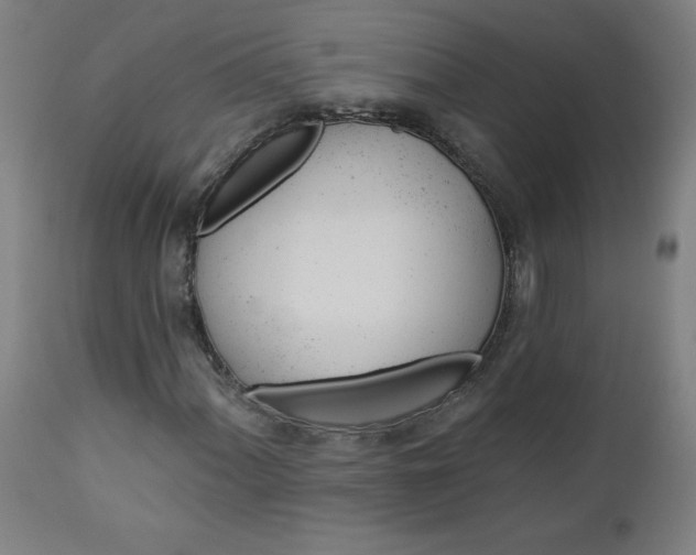 X0000112921060200909080929