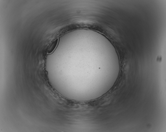 X0000112921061200909080929