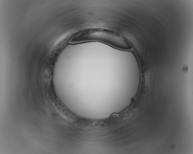 X0000112921064200909080929