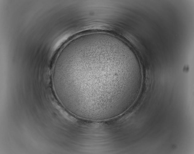X0000112921067200909080929