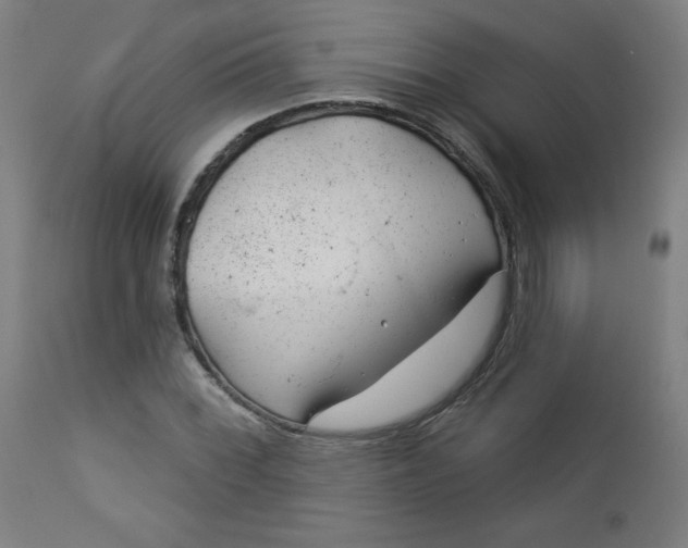 X0000112921068200909080929