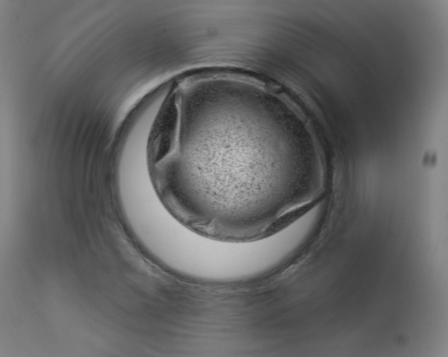 X0000112921069200909080929
