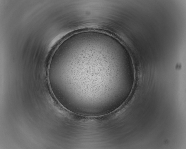 X0000112921070200909080929