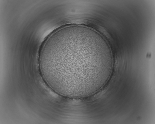 X0000112921071200909080928