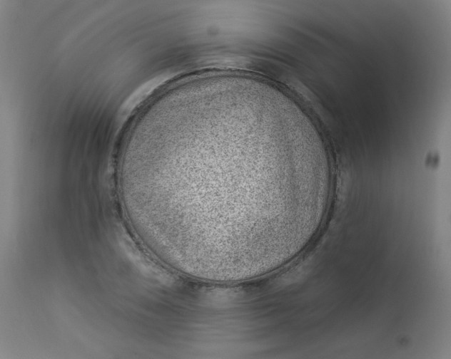 X0000112921074200909080928