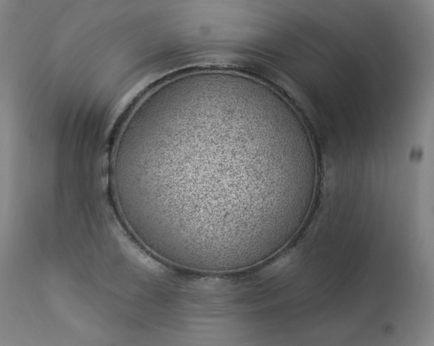 X0000112921075200909080928
