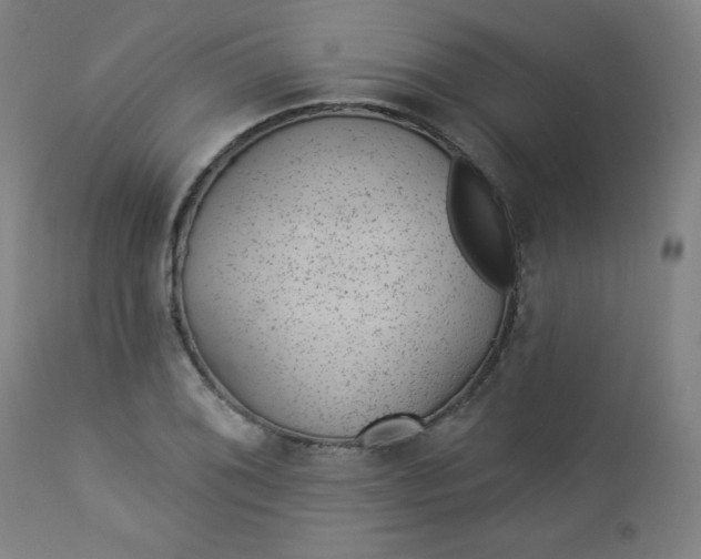 X0000112921076200909080928