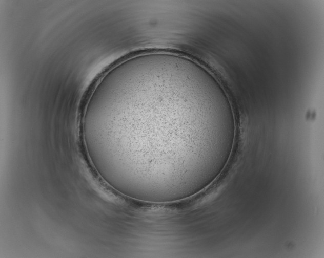 X0000112921077200909080928