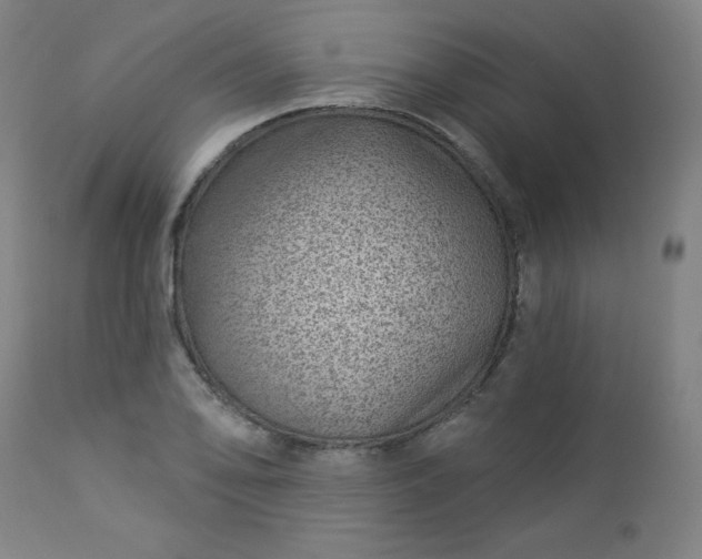 X0000112921078200909080928
