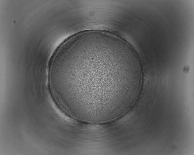 X0000112921079200909080928