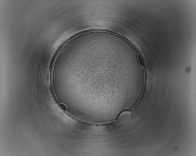 X0000112921080200909080928