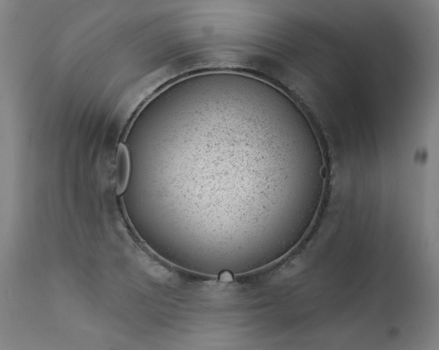 X0000112921081200909080928
