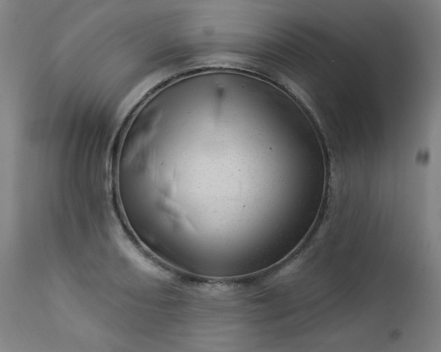X0000112921082200909080928